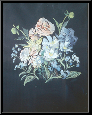 Marguerite-Paulet-bouquet-sur-fond-noir-aux-zinias-2-3-
