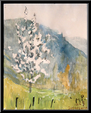 Marguerite-Paulet-arbres-en-fleurs