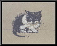 Marguerite-Paulet-petit-chat-noir-et-blanc