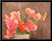 Marguerite-Paulet-fleurs-rouges