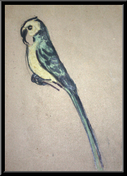 Marguerite-Paulet-perroquet