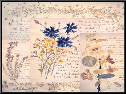 Marguerite-Paulet-journal-de-1911-a-1913