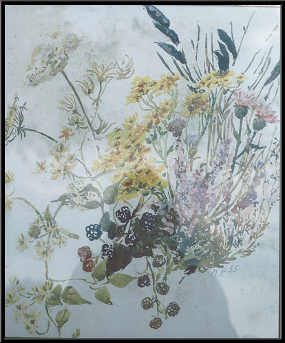 Marguerite-Paulet-Fleurs des champs