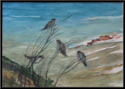 Marguerite-Paulet-oiseaux-en-bord-de-mer