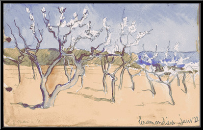 Marguerite-Paulet-les-amandiers