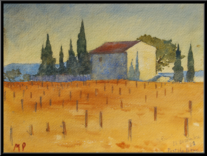 Marguerite-Paulet-vignoble-ensoleille