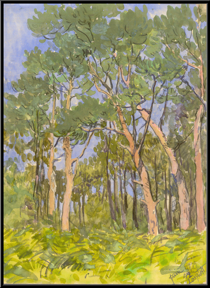 Marguerite-Paulet-Bois de pins