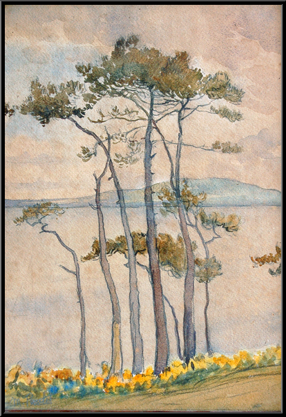 Marguerite-Paulet-Frise de pins devant le Menez Hom