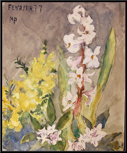 Marguerite-Paulet-Fleurs d'hiver