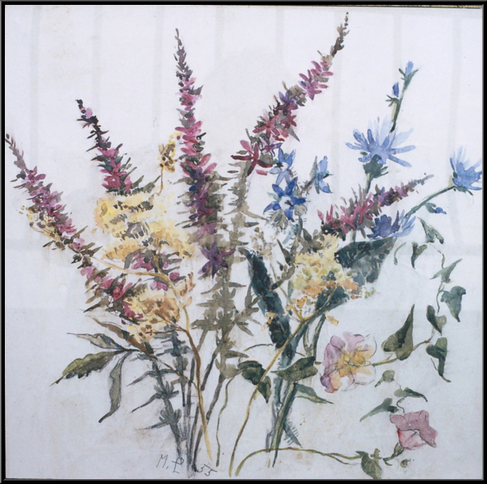 Marguerite-Paulet-Bouquet de fleurs des champs