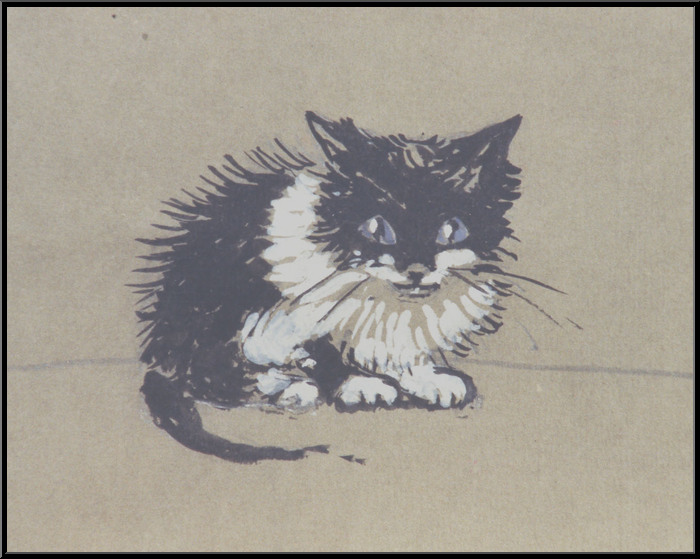 Marguerite-Paulet-Petit chat noir et blanc