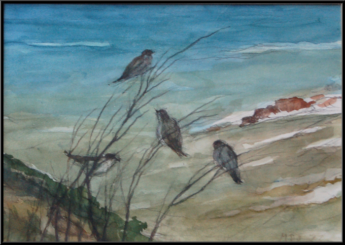 Marguerite-Paulet-Oiseaux en bord de mer